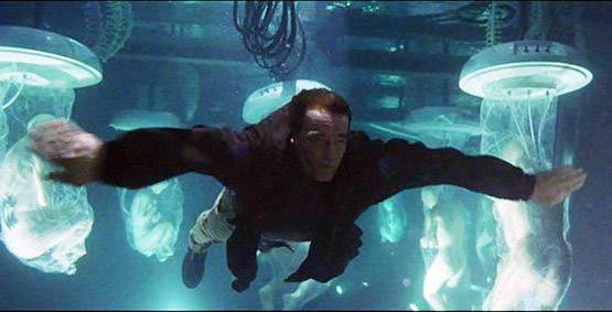 दुनिया का सबसे perfect शख्स है, दिन में करता है 5 बार Romance