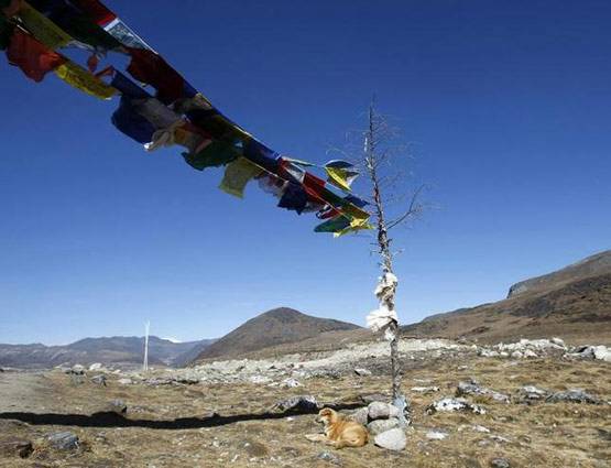 1962 का भारत-चीन युद्ध, जब देश को मिला था सबसे बड़ा धोखा