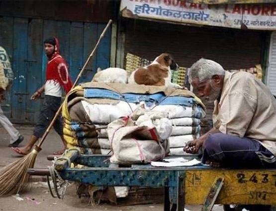 GST: आपकी थाली की ये चीजें अब TAX FREE, पिज्जा-बर्गर महंगा