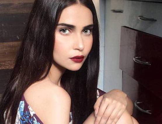 इस मॉडल ने हार्दिक पांड्या को बताया था शादी मटेरियल, अब कर रहे हैं डेट