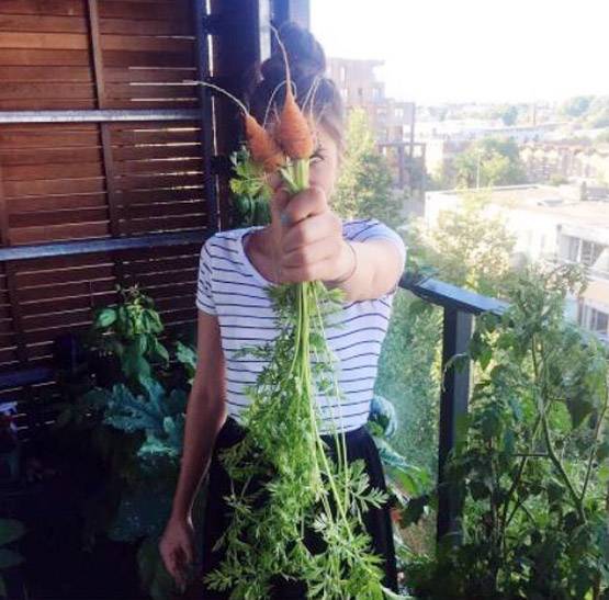 खुद गाजर उगाती हैं कटरीना कैफ, हैरान कर देगा इस एक्ट्रेस का लाइफस्टाइल