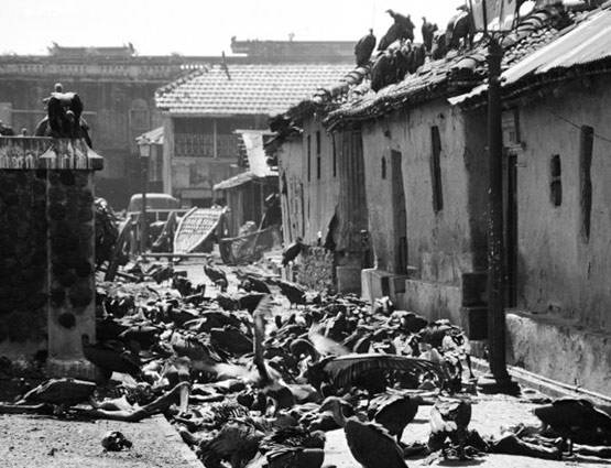 Direct Action Day: हुआ था सबसे बड़ा सांप्रदायिक दंगा, श्‍मशान बन गया था कलकत्‍ता