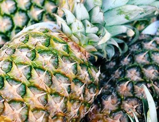 जानिये, कितना सुरक्ष‍ित है प्रेग्नेंसी में अनानास खाना...