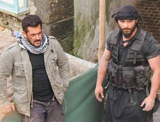 शूट हो रहा है टाइगर जिंदा है का क्लाइमेक्स, एक्शन मोड में सलमान-कटरीना