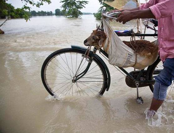 देश में जारी कुदरत का कहर, कहीं बाढ़ तो कहीं भूस्खलन