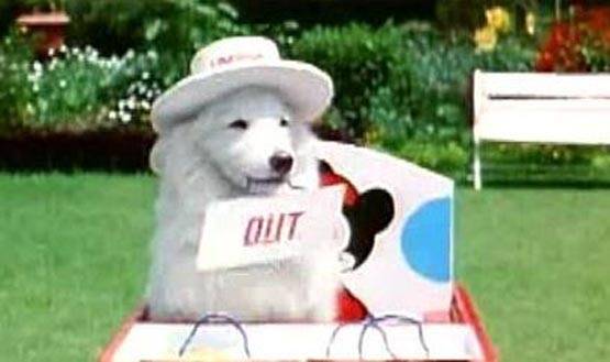 हम आपके हैं कौन के 23 साल, पाकिस्तानी धुन से प्रेरित था दीदी तेरा...