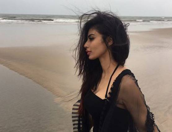 अभी भी साथ हैं 'महादेव' और 'नागिन', गोवा में मना रहे हैं हॉलीडे