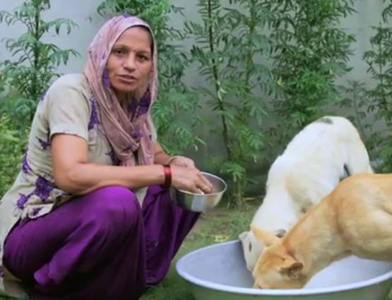 17 साल से KBC में जाने का सपना देखती थी गांव की महिला, जीते रुपये