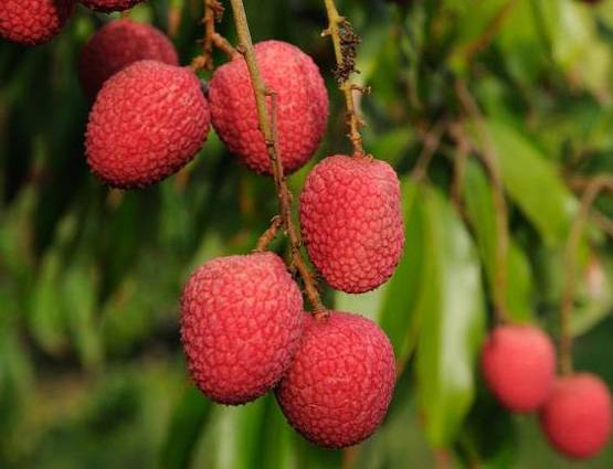 खाली पेट भूल कर भी ना खाएं ये 10 चीजें...