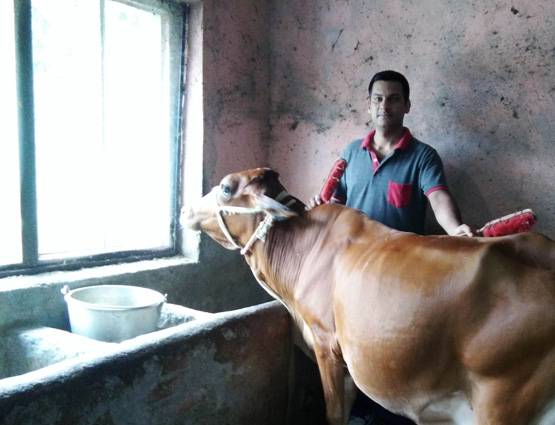 इंजीनियरिंग छोड़कर गांव में शुरू की डेयरी, अब कमाते हैं 2 लाख महीने