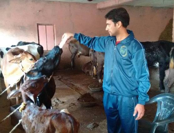 इंजीनियरिंग छोड़कर गांव में शुरू की डेयरी, अब कमाते हैं 2 लाख महीने