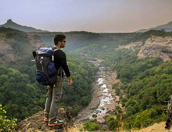 Free में घूमना चाहते हैं दुनिया, तो ये 5 दे रहे हैं आपको मौका