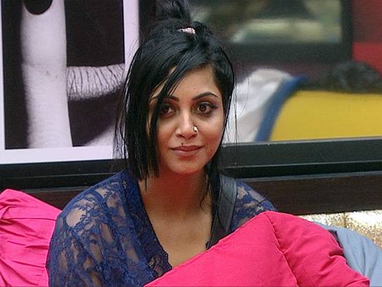 BIGG BOSS में लड़ाइयां जारी, विकास-हिना में नॉनस्टॉप घमासान