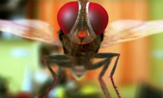 ये हैं बाहुबली फेम राजमौली की फिल्में, बॉक्स ऑफिस पर सभी ने बनाए रिकॉर्ड