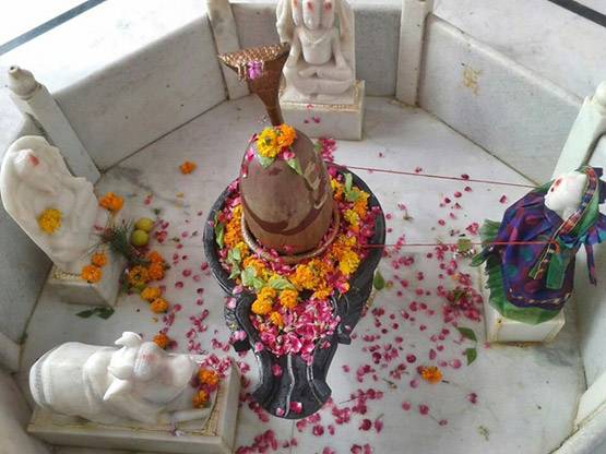 घर में कर रहे हैं शिवलिंग की स्थापना तो पहले जान लें ये 5 बातें, गलती हुई तो भोले हो जाएंगे नाराज