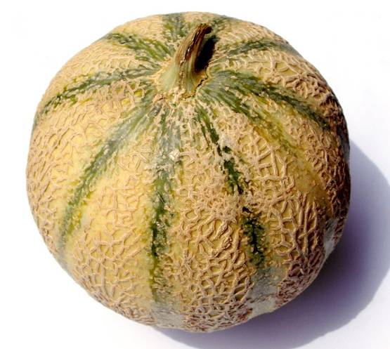 खरबूजे के बीज के 6 फायदे, क्या जानते हैं आप...