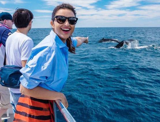 परिणीति ने क्यों कहा अगर बिकिनी पहनती, तो यहां तक नहीं पहुंचती