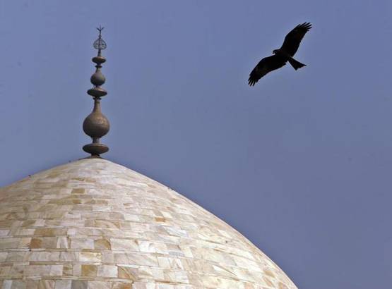 तीन बार बिक चुका है ताजमहल! कुतुबमीनार से भी ज्यादा है ऊंचाई