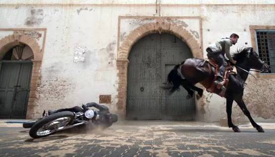 सलमान के फैन्स ने उड़ाया शाहरुख का मजाक, ट्रेंड कर रहा है 'टाइगर'