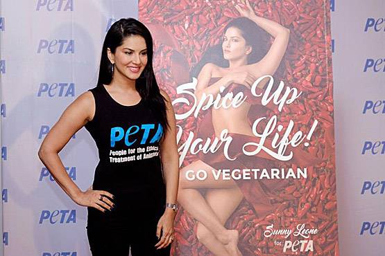 पोर्न स्टार रहे पति के साथ सनी लियोनी ने कराया न्यूड फोटोशूट