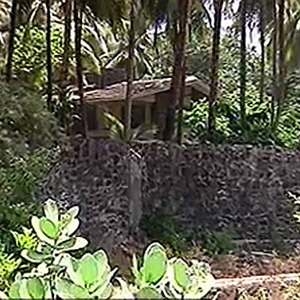 शाहरुख के पास आज कई बंगले, कभी तीन कमरों में करते थे गुजारा