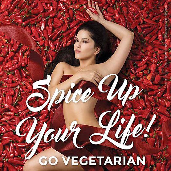 पोर्न स्टार रहे पति के साथ सनी लियोनी ने कराया न्यूड फोटोशूट