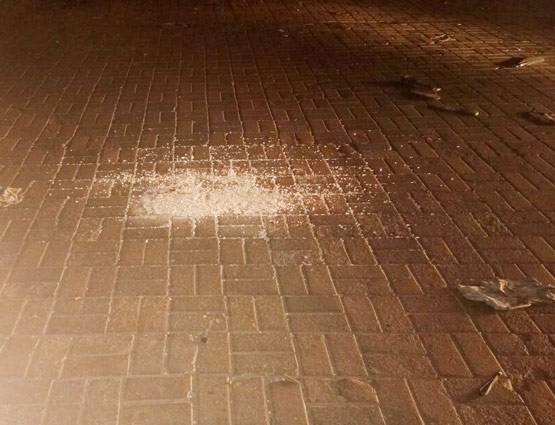 मन्नत के बाहर भगदड़ जैसा नजारा, शाहरुख को विश करने आए थे फैन