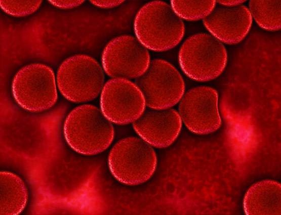 पीपल के पेड़ से सेहत को होते हैं इतने फायदे!