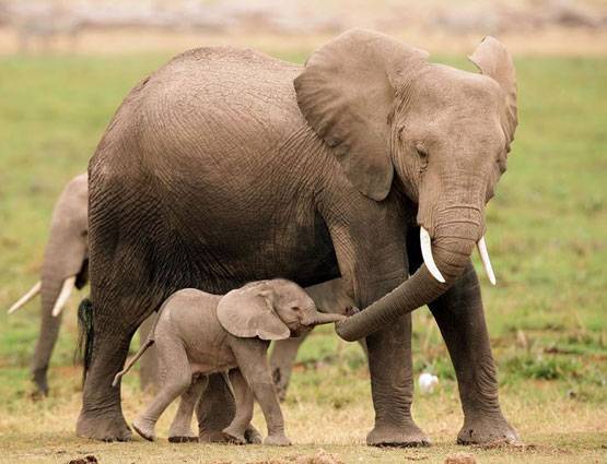 IAS के इंटरव्यू में पूछे जाते हैं ऐसे सवाल, जवाब है काफी दिलचस्प