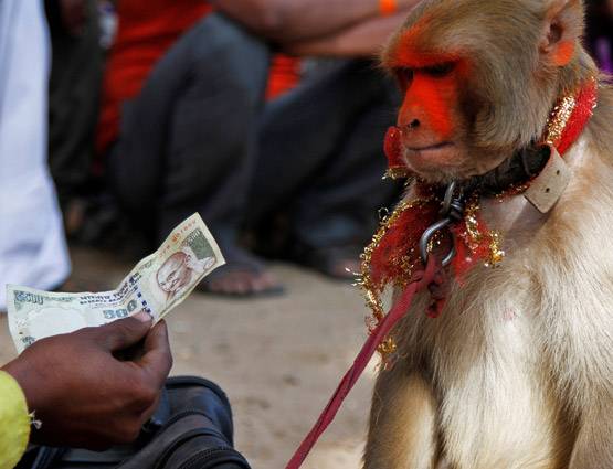 बंद 500 और 1000 के नोट यहां चुनाव प्रचार में होंगे इस्तेमाल