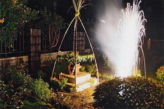 भगवान विष्णु को क्यों करना पड़ा था तुलसी से विवाह, जानिए पूरी कहानी