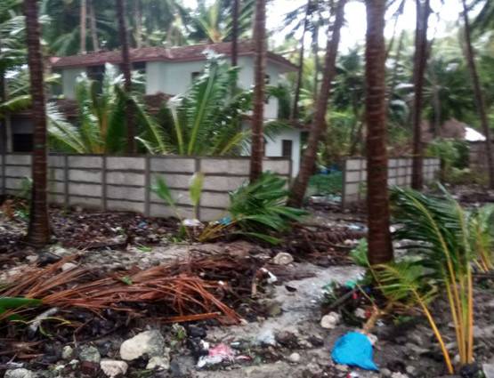 चक्रवाती तूफान 'ओखी' ले रहा है विकराल रूप, तमिलनाडु में बारिश