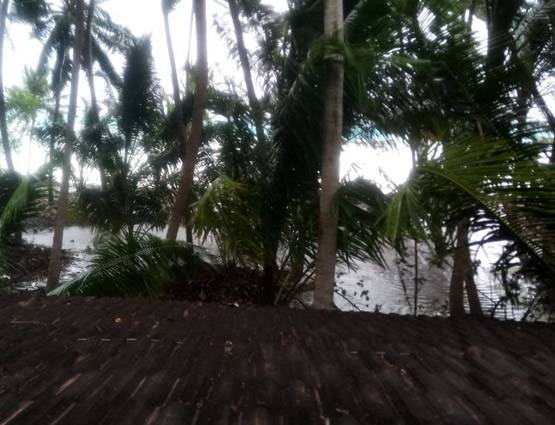 चक्रवाती तूफान 'ओखी' ले रहा है विकराल रूप, तमिलनाडु में बारिश