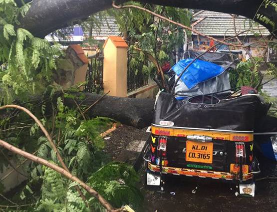 चक्रवाती तूफान 'ओखी' ले रहा है विकराल रूप, तमिलनाडु में बारिश