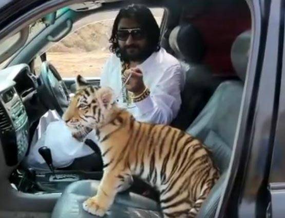 गोल्ड, हथियार, जंगली चीते... पाक के जफर का शाही अंदाज़ देख दंग रह जाएंगे