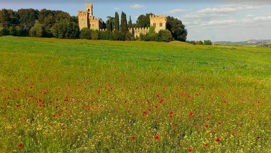 शादी के बंधन में बंधे विराट-अनुष्का, देखें VENUE की तस्वीरें