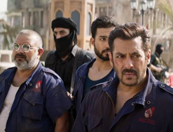 विदेशी Box office पर भी छाया TIGER, करोड़ों की कमाई जारी