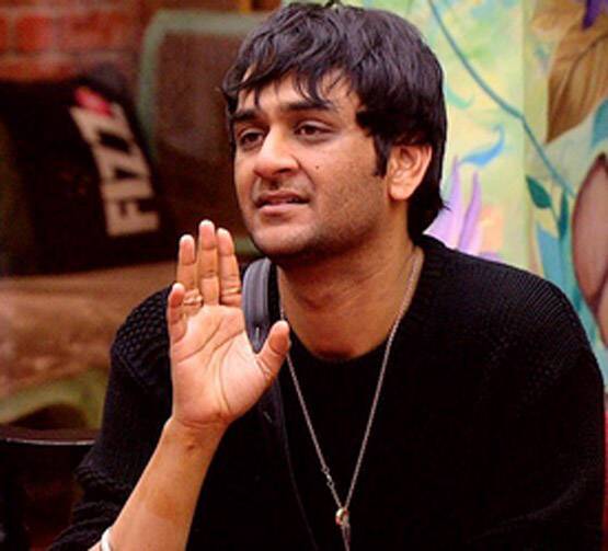 बिग बॉस के हिट वनलाइनरः हिना का Slow Clap, विकास की बकैती