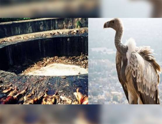 अंतिम संस्कार का हिंदू तरीका अपनाने को क्यों मजबूर हैं पारसी