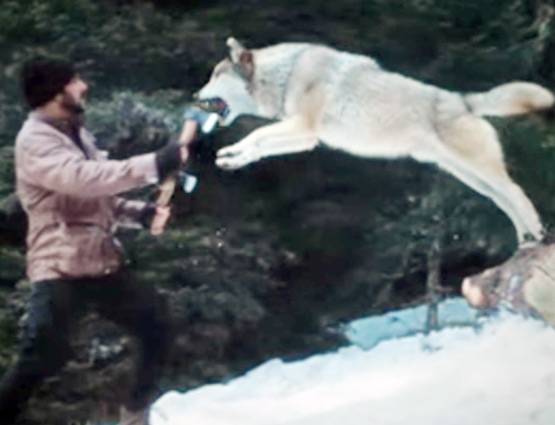 सलमान के इस बॉडी डबल ने किया है 'टाइगर' का सबसे खतरनाक सीन