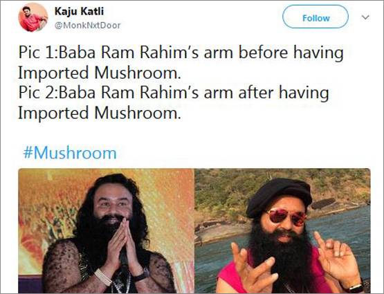 PHOTOS: मोदी वाला मशरूम खाकर गोरी हो रही हैं हस्तियां!