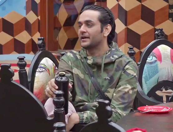 Bigg Boss: घर से बाहर आकर विकास से इस तरह बदला लेंगे आकाश