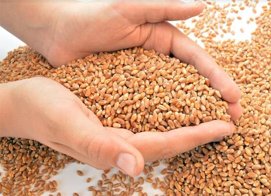 नए साल की शुरुआत में करें ये 5 उपाय, मिलेगी हर काम में सफलता