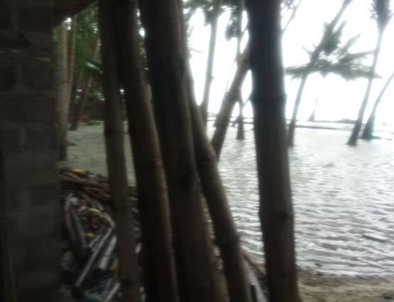 चक्रवाती तूफान 'ओखी' ले रहा है विकराल रूप, तमिलनाडु में बारिश