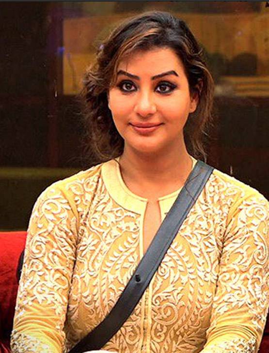 बिग बॉस के हिट वनलाइनरः हिना का Slow Clap, विकास की बकैती