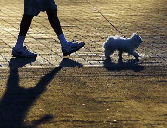 आपके चलने का स्टाइल खोलता है आपके व्यक्तित्व के कई राज