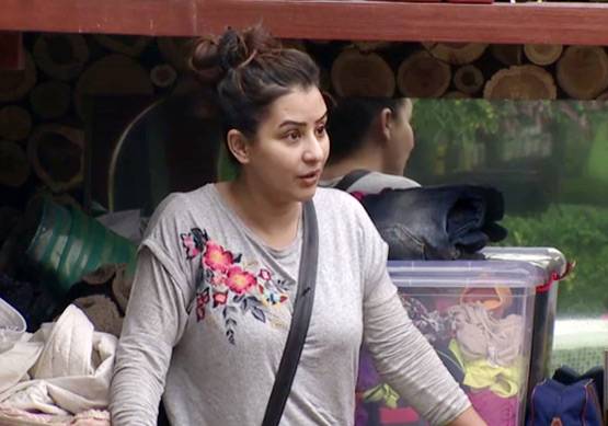 BIGG BOSS: विकास के खिलाफ ये है शिल्पा-पुनीश का गेम प्लान
