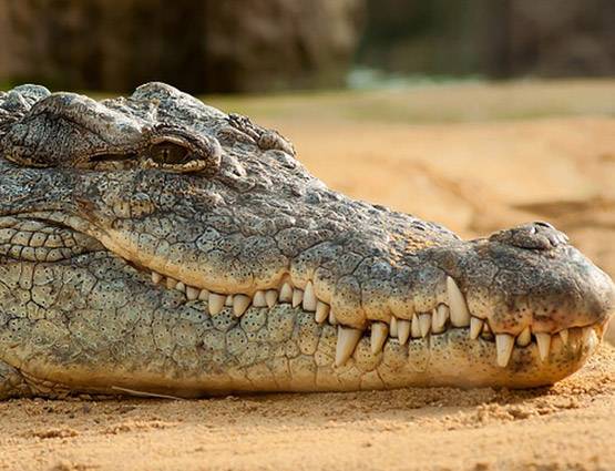 शादी से पहले शारीरिक संबंध बनाने का यूं बढ़ा चलन