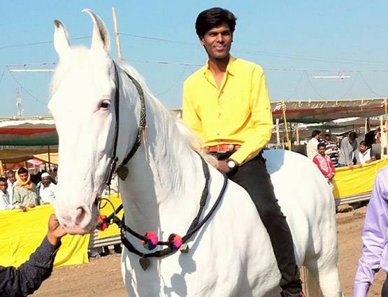 चेतक की वंशज है ये घोड़ी, कीमत सुन दंग हो गए थे CM