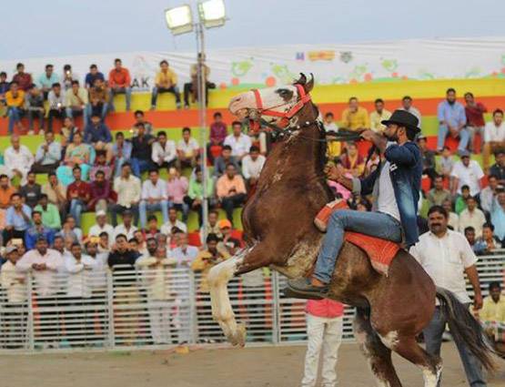 चेतक की वंशज है ये घोड़ी, कीमत सुन दंग हो गए थे CM